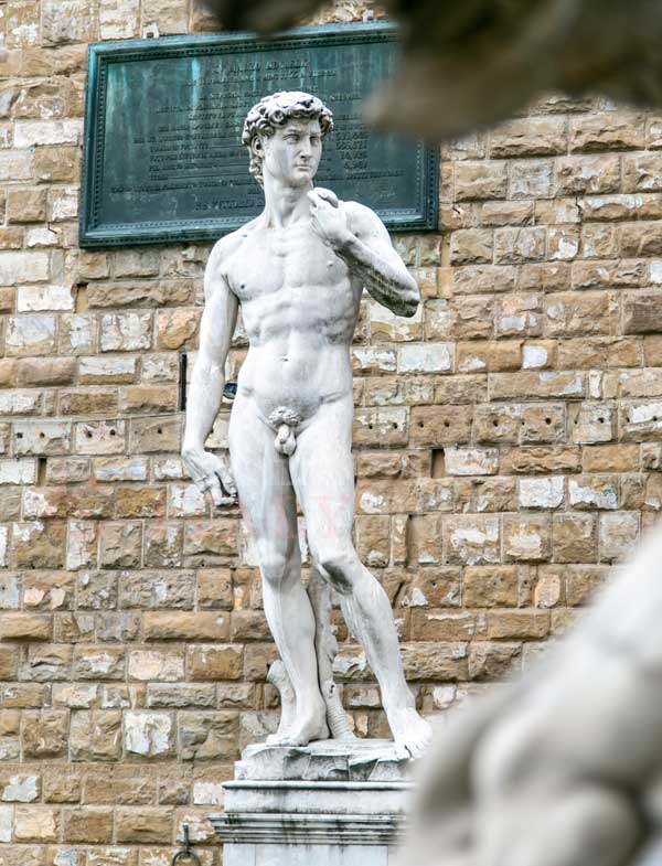 Best of Florence Accessible Tour